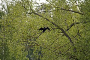 _MG_4587_redigerad-1