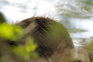 _MG_4605_redigerad-1