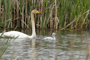 _MG_4691_redigerad-1