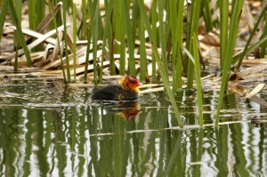 _MG_4779_redigerad-1