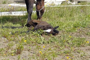 _MG_5348_redigerad-1