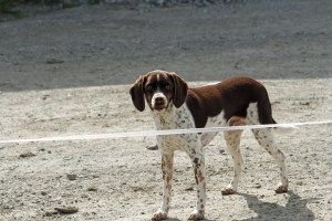 _MG_5359_redigerad-1