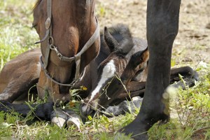 _MG_5370_redigerad-1