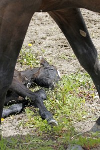 _MG_5380_redigerad-1