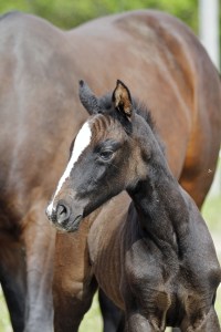 _MG_5405_redigerad-1