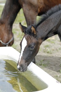 _MG_5455_redigerad-1