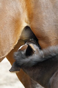 _MG_5477_redigerad-1