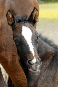 _MG_5482_redigerad-1