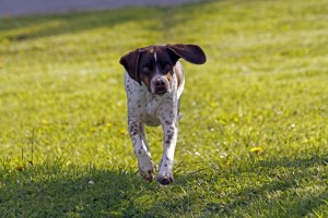 _MG_5542_redigerad-1