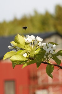 _MG_5546_redigerad-1