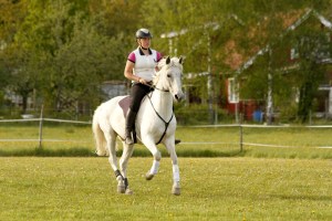 _MG_5755_redigerad-1