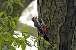 _MG_6870_redigerad-1