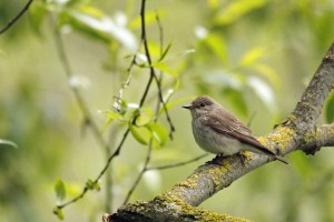 _MG_6884_redigerad-1