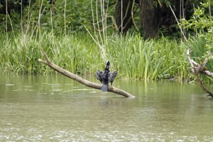 _MG_6916_redigerad-1