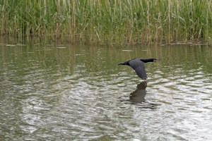 _MG_6943_redigerad-1