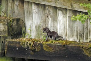 _MG_6977_redigerad-1