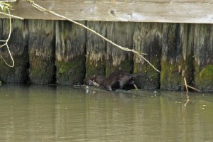 _MG_6981_redigerad-1