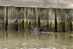 _MG_6985_redigerad-1