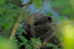 _MG_7058_redigerad-2