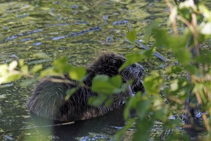 _MG_7087_redigerad-1