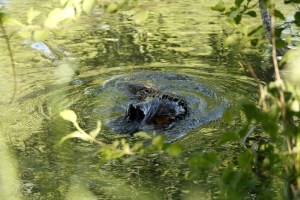 _MG_7094_redigerad-1