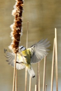 _MG_7713_redigerad-1