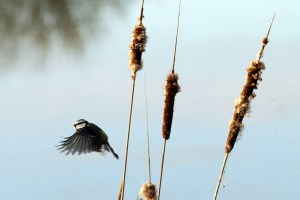 _MG_7718_redigerad-1