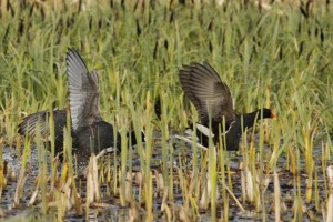 _MG_7759_redigerad-1