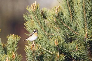 _MG_7772_redigerad-1