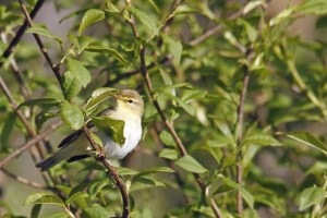 _MG_7875_redigerad-1