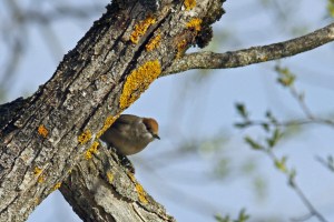 _MG_7883_redigerad-1