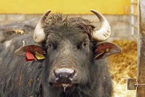 _MG_7903_redigerad-1