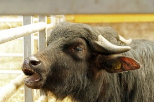 _MG_7910_redigerad-1