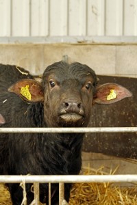 _MG_7912_redigerad-1