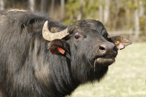 _MG_7982_redigerad-1