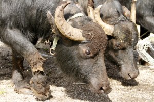 _MG_7991_redigerad-1