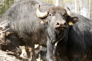 _MG_8012_redigerad-1