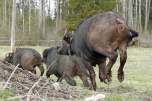 _MG_8069_redigerad-1