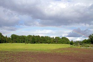 IMG_3812_redigerad-1