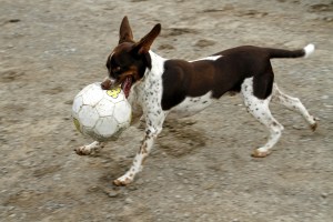 _MG_2899_redigerad-1