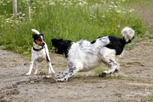 _MG_3005_redigerad-1