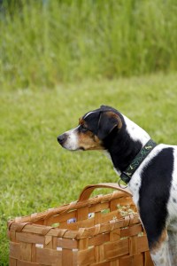 _MG_3069_redigerad-1