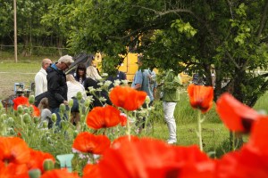 _MG_3072_redigerad-1