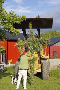 _MG_3140_redigerad-1