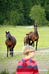 _MG_3262_redigerad-1