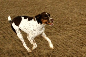 _MG_3305_redigerad-1