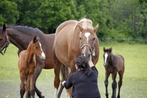 _MG_3580_redigerad-1