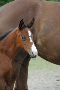 _MG_3588_redigerad-1