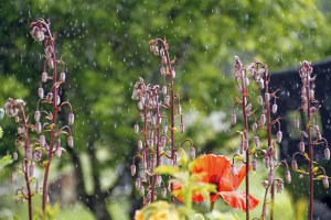 _MG_3725_redigerad-1