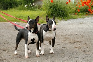 _MG_3750_redigerad-1